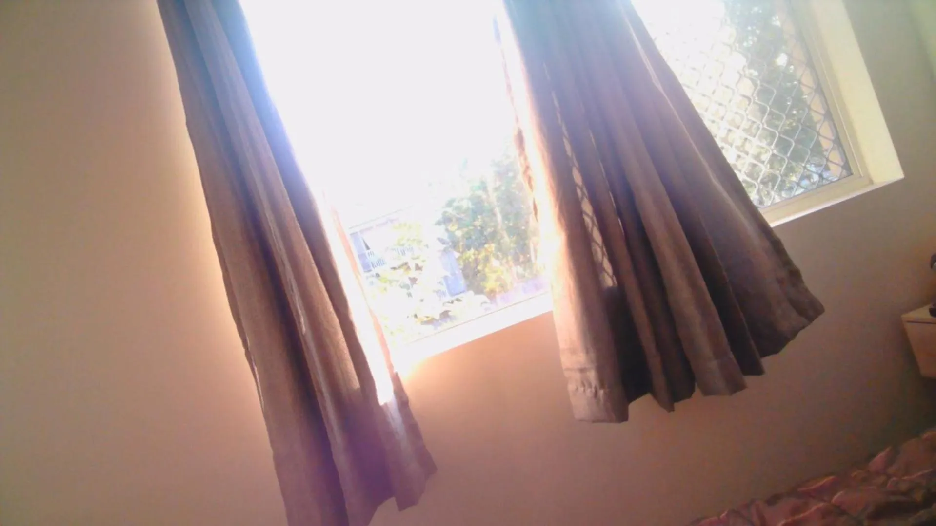 Grizzly Damo'S Nft Gallery Apartment Brisbane 0*,  Australia