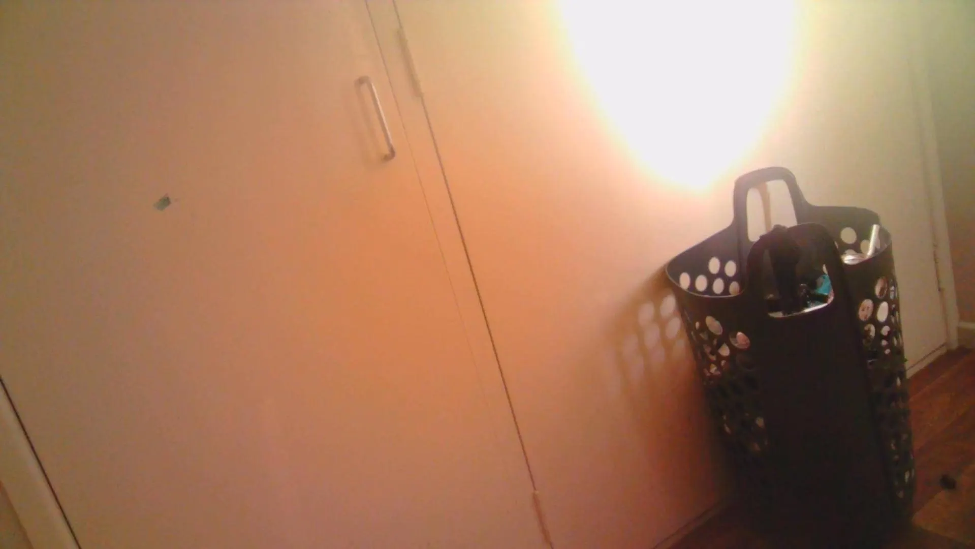 Grizzly Damo'S Nft Gallery Apartment Brisbane