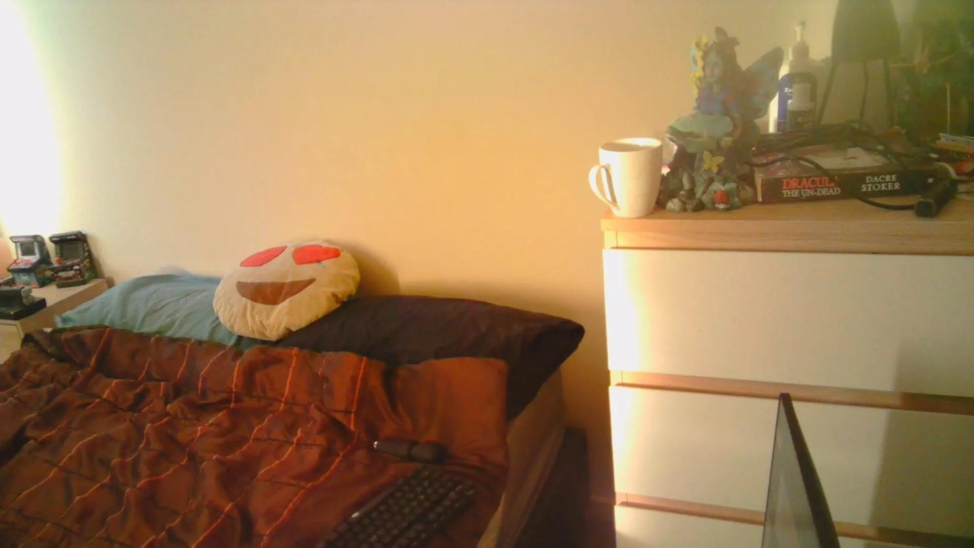 Grizzly Damo'S Nft Gallery Apartment Brisbane Australia