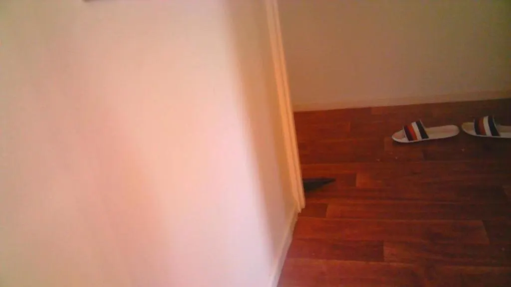 Grizzly Damo'S Nft Gallery Apartment Brisbane